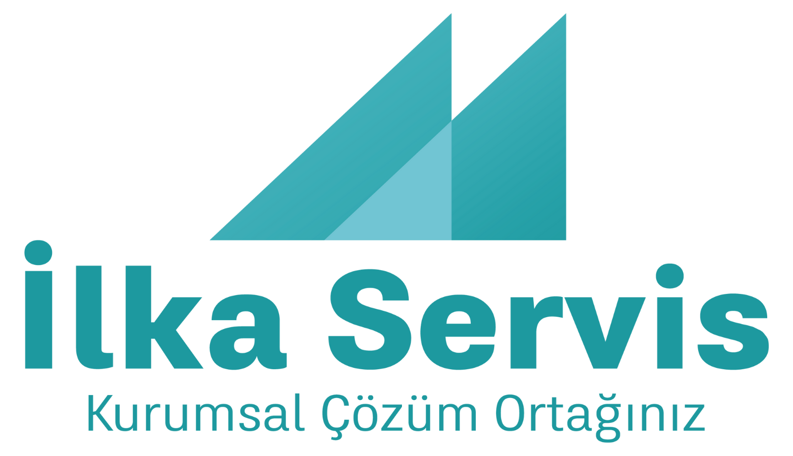 profesyonel temizlik şirketi